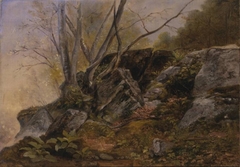 Study from Nature, Bronxville, New York by Asher Brown Durand