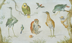 Study of Birds and Monkeys by Anonymous