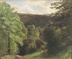 Study of Woods by Hans Gude