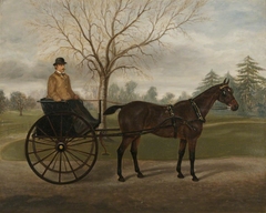 The Carriage Horse 'Minnie' with a Groom in a Buggy in the Grounds of Florence Court by F Clifton