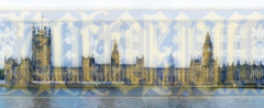 The Palace of Westminster by Jurgita Gerlikaite