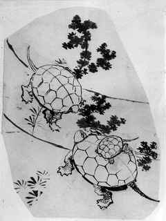 Turtles by Katsushika Hokusai