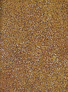 Untitled (Alhalkere) by Emily Kame Kngwarreye