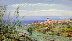 View of Icod, Teneriffe by Marianne North