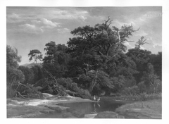 Waldlandschaft mit Weiher und Reihern by Johann Wilhelm Schirmer