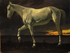 White Horse and Sunset by Albert Bierstadt