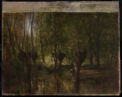 Young Man Fishing beneath Willow Trees by Émile Lambinet