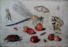 A Dragon-fly, two Moths, a Spider and some Beetles, with wild Strawberries by Jan van Kessel the Elder