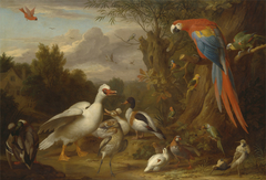 A Macaw, Ducks, Parrots and Other Birds in a Landscape by Jakob Bogdani