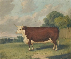 A Prize Bull in a Landscape by Richard Whitford