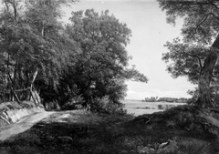 A Summer Morning beside the Deer Park Fence in Ordrup Spinney, North of Copenhagen by Thorald Brendstrup