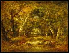 Autumn, Forest Interior by Narcisse Virgilio Díaz