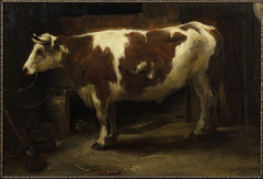 Brown and White Bull by Jacob Levecq