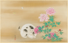 Cat with Peonies and Butterflies by Kanō Tansetsu