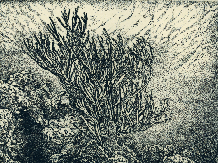 Exhibit image