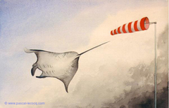 COURANT D'AILES - Wings current - by Pascal by Pascal Lecocq