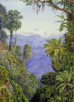 Distant View of Kinchinjunga from Darjeeling by Marianne North