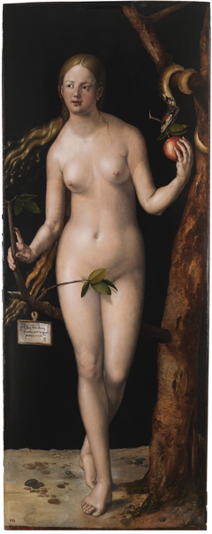 Eve by Albrecht Dürer