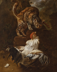 Fight of a Cock and a Cat by Jacomo Victors