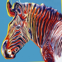 Grevy’s Zebra by Andy Warhol