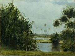 Hilo Bay by D. Howard Hitchcock