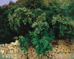 Ilex Wood. Majorca by John Singer Sargent