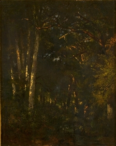 In het bos van Fontainebleau (Forêt de Fontainebleau) by Narcisse Virgilio Díaz