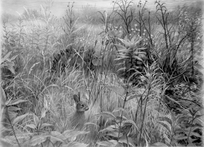 Exhibit image