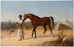 Joven marroquí llevando del diestro a un caballo by Marcelino de Unceta