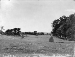 Landscape near the Manor of Dortheaslyst by P C Skovgaard