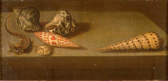 Lizard and Shells by Balthasar van der Ast