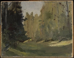 Mariino – clearing in a forest by Jan Ciągliński