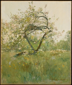 Peach Blossoms—Villiers-le-Bel by Childe Hassam