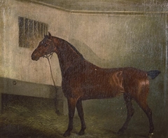 Portrait of a hunter in stable by Anonymous