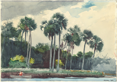 Red Shirt, Homosassa, Florida by Winslow Homer