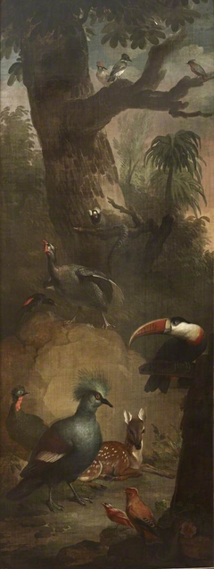 Roe Deer, Marmoset, Toucan and other Birds by Aert Schouman