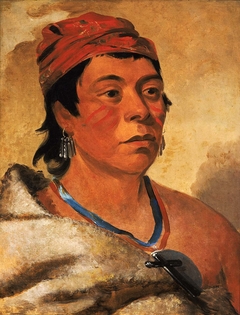 Round Island, a Warrior by George Catlin