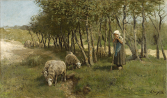 Sheep in Dekkersduin by Anton Mauve