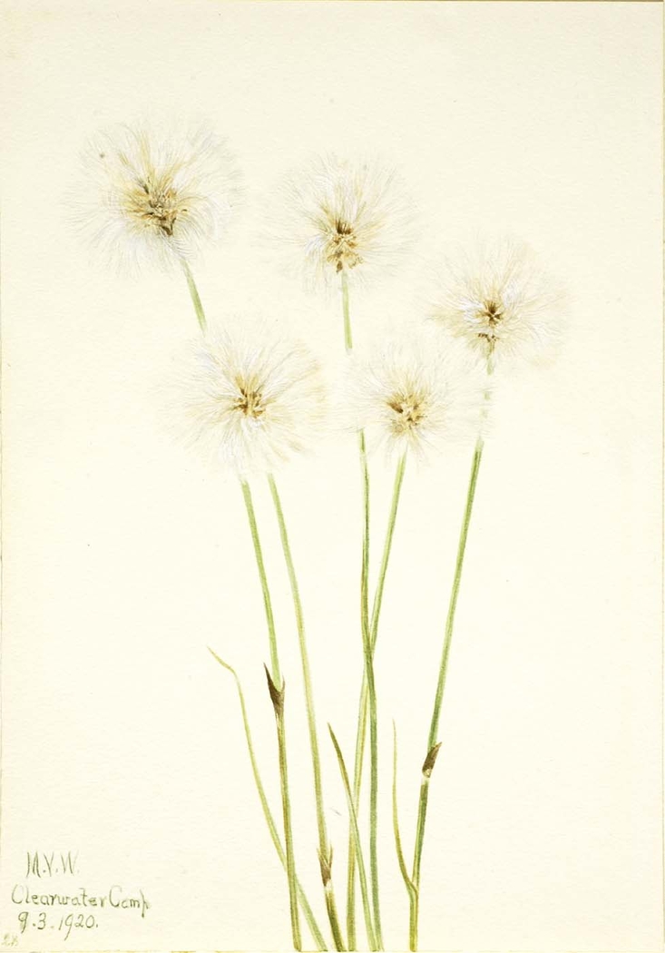 Exhibit image