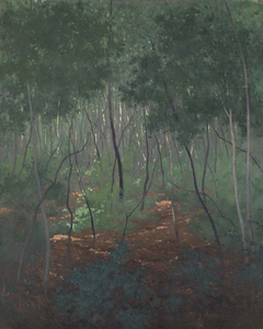 Sous-bois, arbres légers by Félix Vallotton