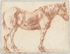 Staand paard, naar rechts by Pieter van Bloemen