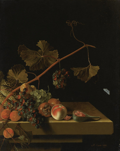 Still life with fruit and a grapevine by Adriaen Coorte