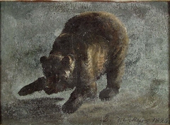 Study of a Bear by Johan Christian Dahl