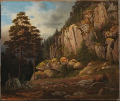 Suopeltovuori in Haminalahti by Magnus von Wright