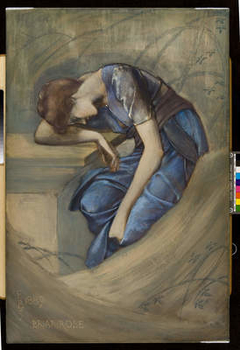 The Briar Rose Series by Edward Burne-Jones