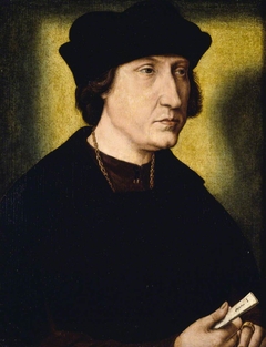Unknown Man by after Quinten Metsys