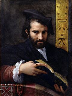 Portrait of a Man with a Book by Parmigianino