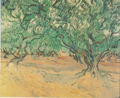 Olive-trees by Vincent van Gogh