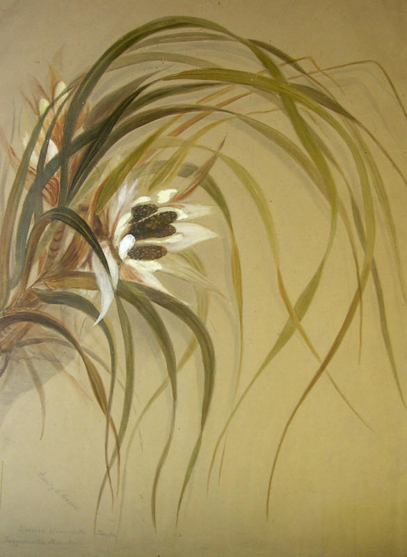 Exhibit image