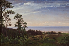 View from the North Coast of Zealand across the Kattegat with Kullen in the Background by P C Skovgaard